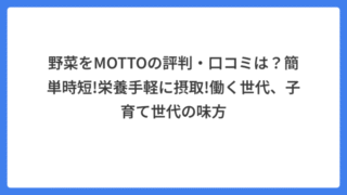 野菜をMOTTOの評判・口コミは？簡単時短!栄養手軽に摂取!働く世代、子育て世代の味方